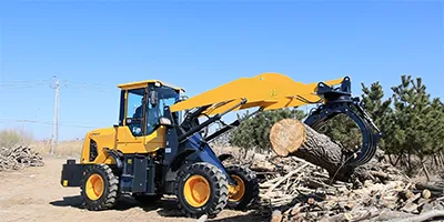 Chargeuse sur Pneus Diesel 946BM